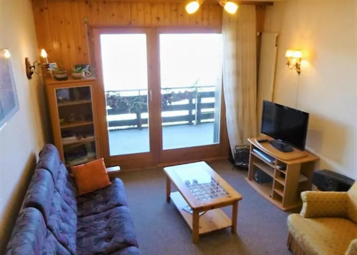 Fontanettaz V 011 - Mountain 6 Pers アパート